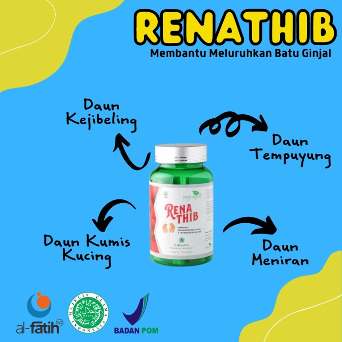 

Herbal Khusus Ginjal / Obat Ginjal kencing manis Renathib 100% Herbal Alami tanpa efek samping