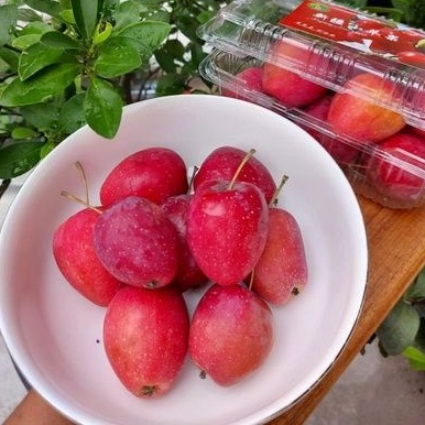 

apel candy / Strawberry Apel 500gr