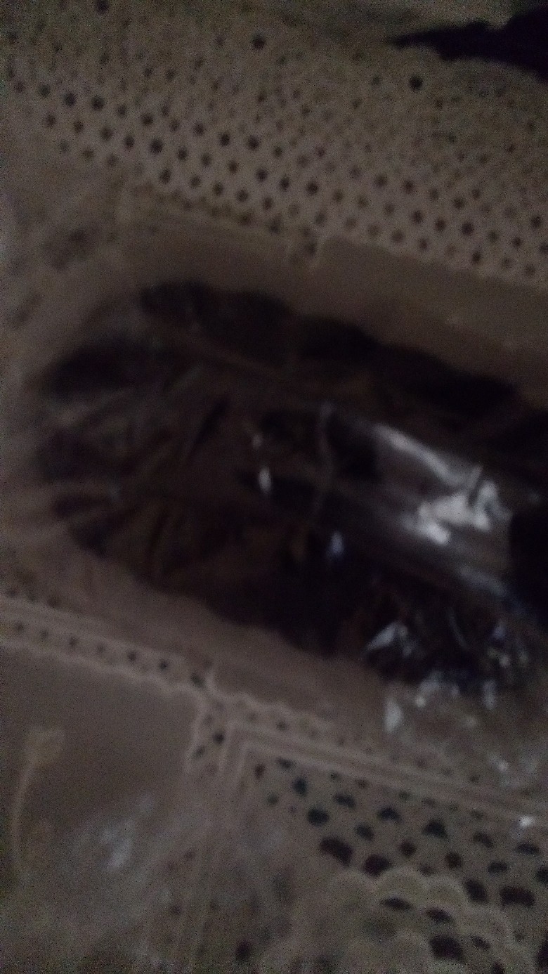 Sikat Wc Sabut Cuci Piring Wajan Pembersih Kerak Lantai Dinding Kamar Clean Brush Serbaguna Kitchen