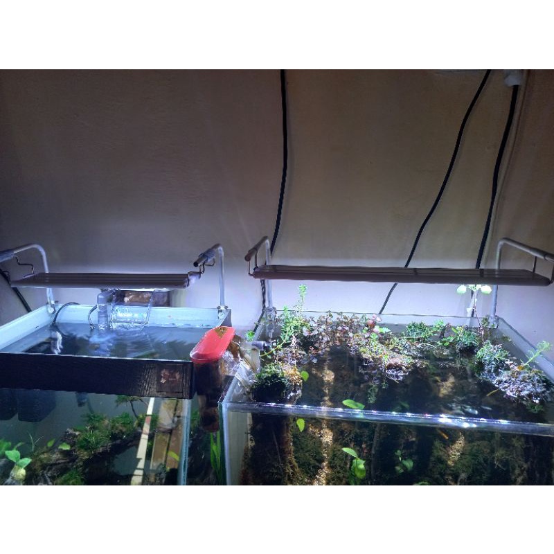 stand lampu aquarium stand lampu stand lamp lampu dudukan lampu aquarium tiang lampu aquascape stand