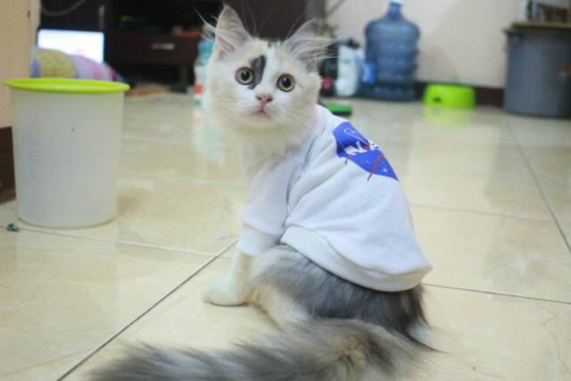 Kaos Nasa lucu untuk kucing &amp; anjing /Jual Baju Kucing Terlengkap &amp; Berkualitas size S-XL