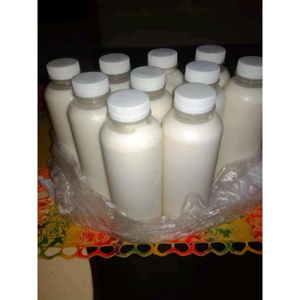 

susu kambing etawa