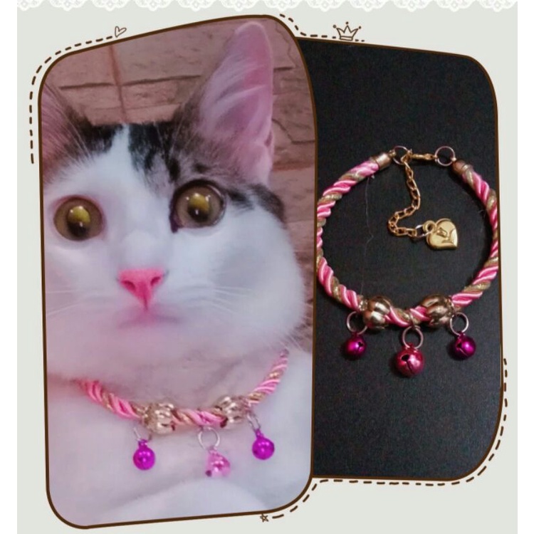 kalung kucing pinky lonceng 3  imut keren dan elegant