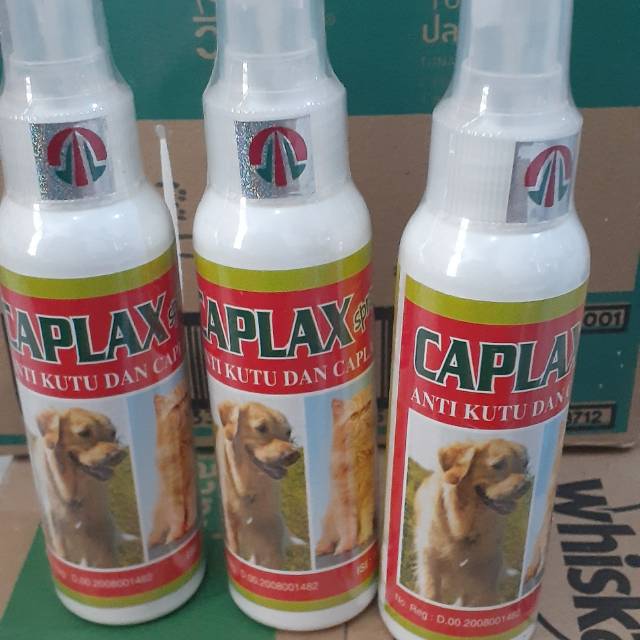 Obat Kutu Anjing Kucing Caplax Spray