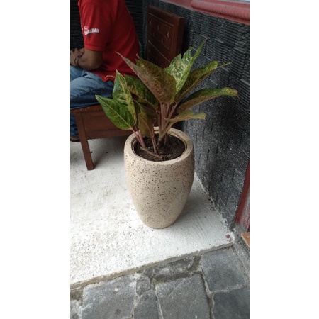 Pot Bulat Tanaman Traso Teraso