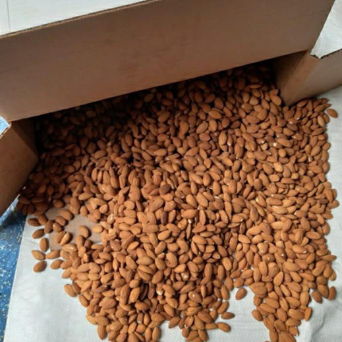 

Kacang Almond Mentah Kupas Blue Diamond.1 Dus Isi 22Kg Bibisale318