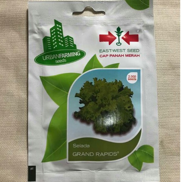 Benih Selada Grand Rapids Cap Panah Merah