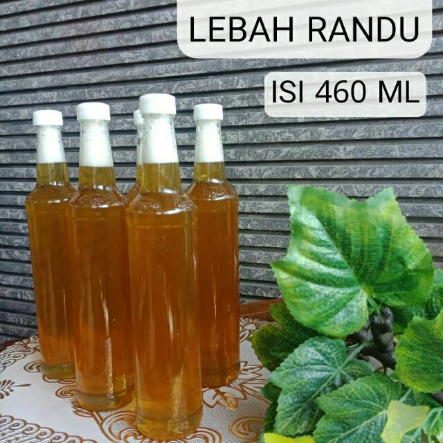 

Madu Lebah Randu