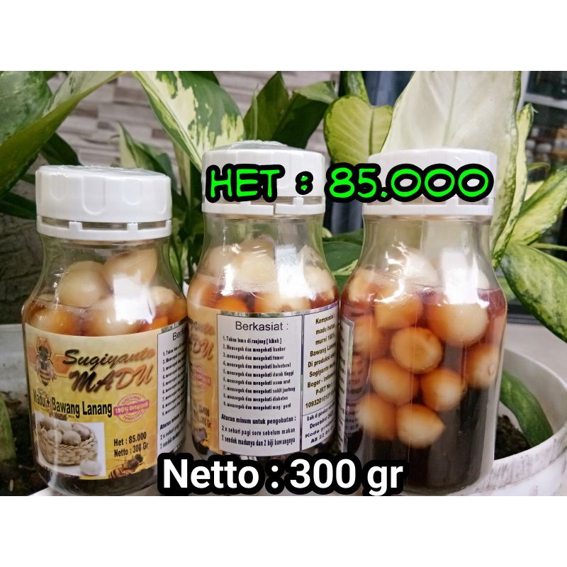 

madu hutan murni plus bawang putih tunggal