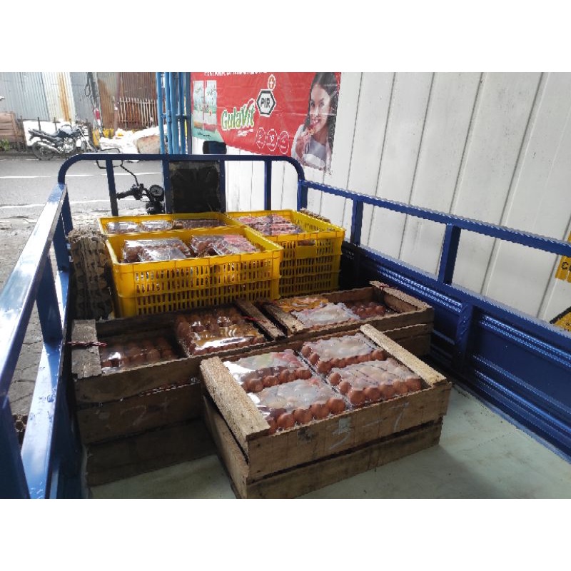

RB TELUR AYAM NEGERI OMEGA ORGANIK ISI 10 BUTIR/ 15 BUTIR MIKA READY STOCK