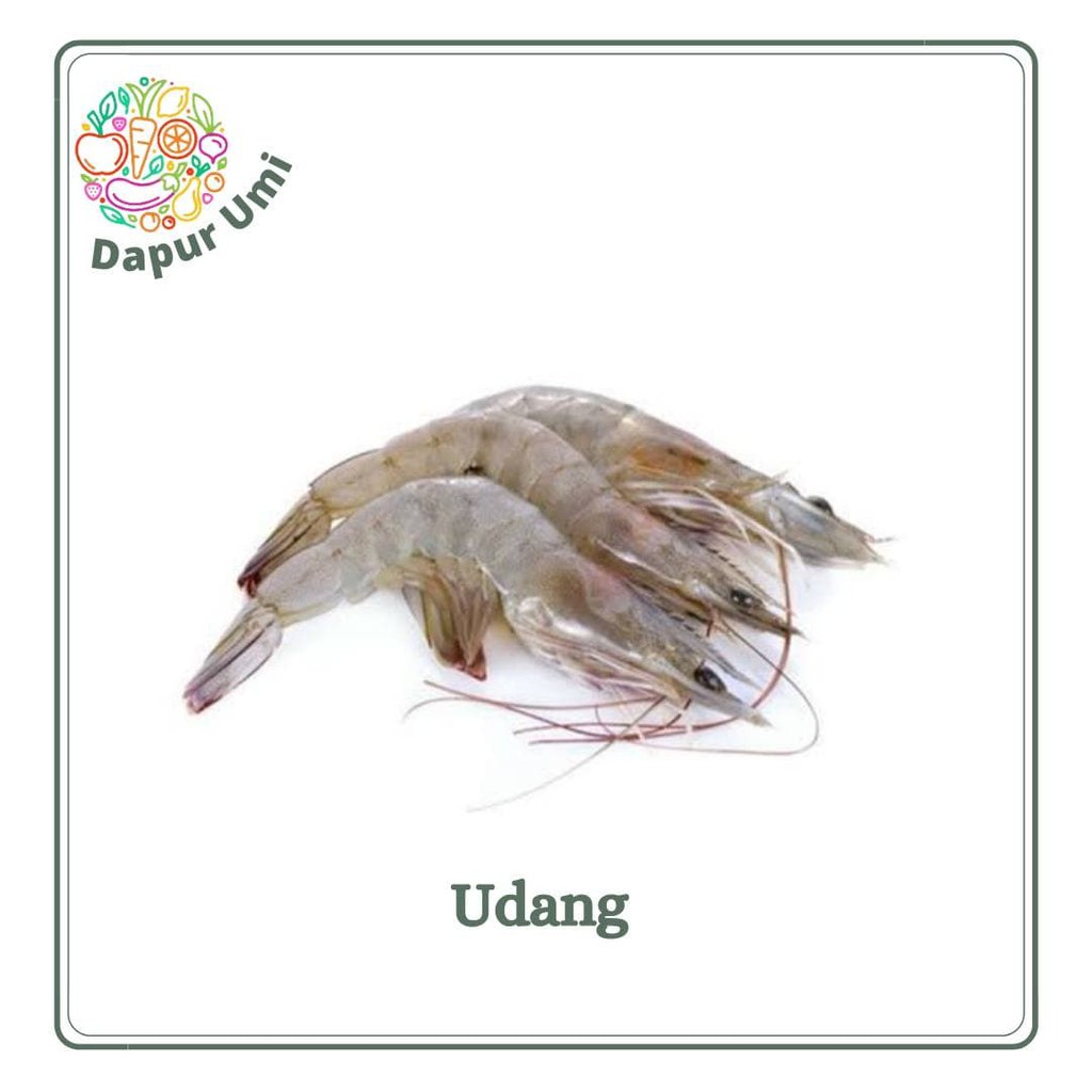 

UDANG - SEAFOOD SEGAR PURWAKARTA