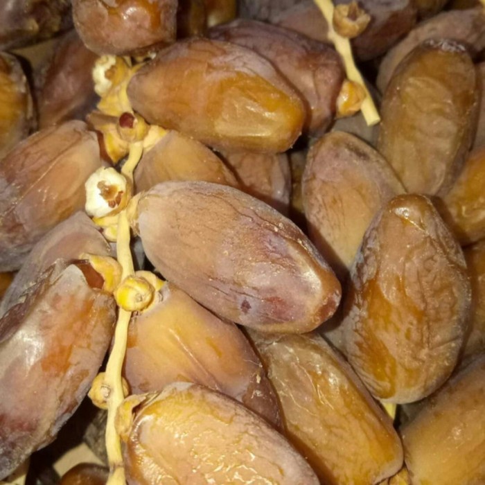 

kurma tunisia tangkai 1kg/ murah