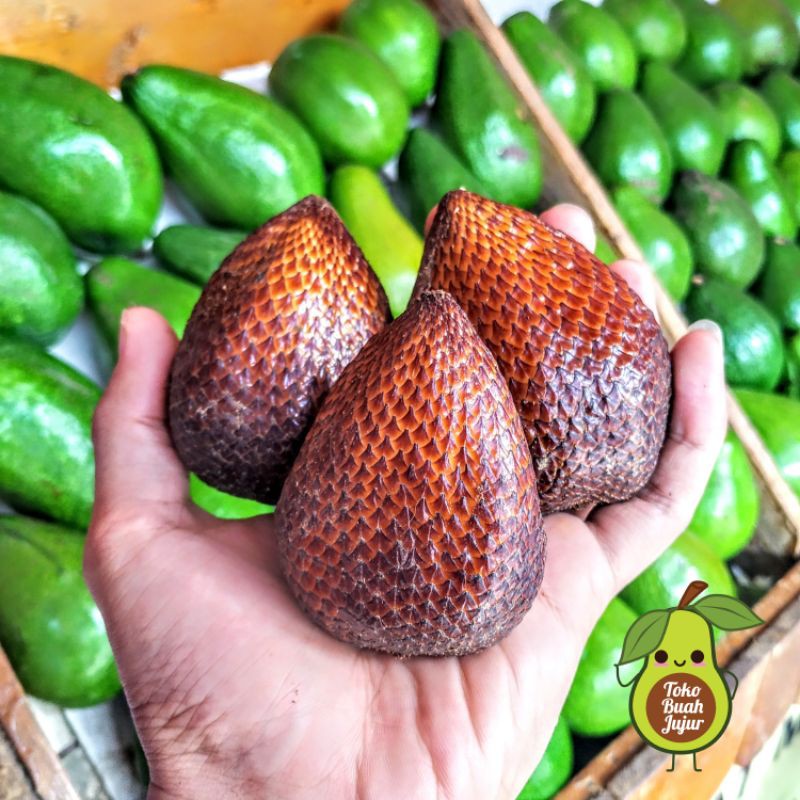 

SALAK PONDOH FRESH 1KG