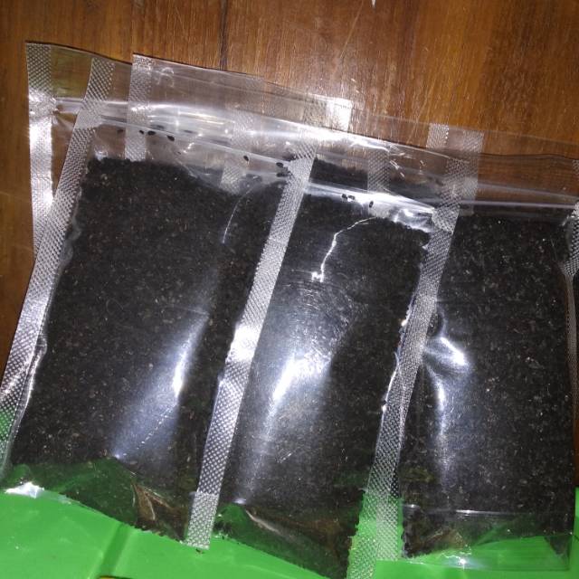 

Biji habbatusauda 150 gr (jintan hitam)