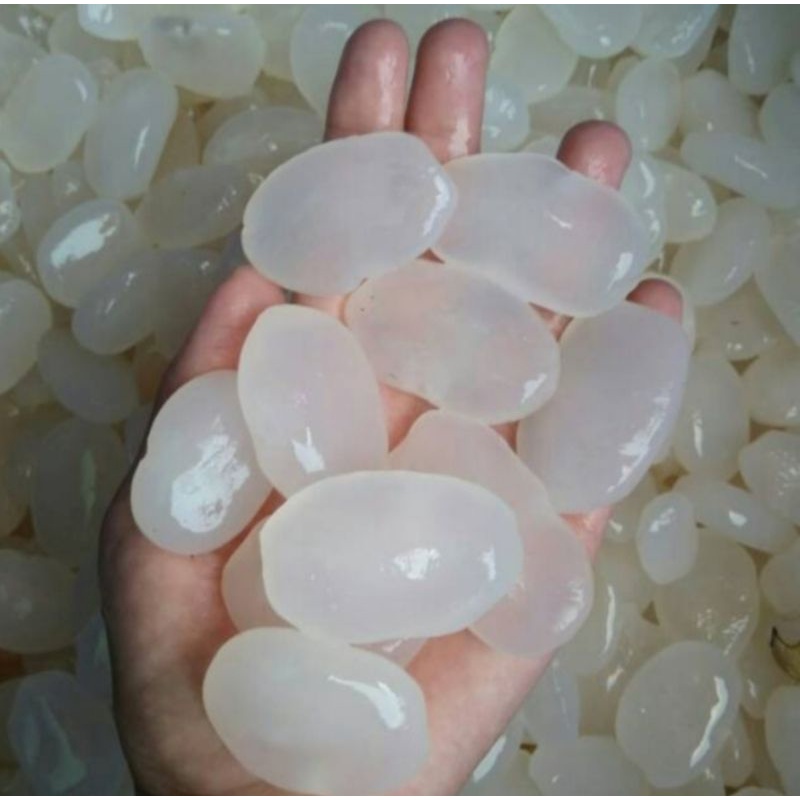 

kolang Kaling 1 kg