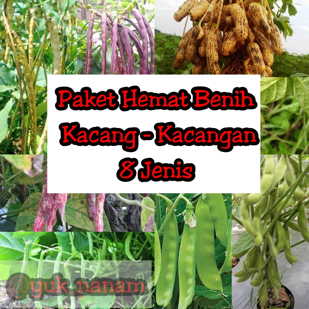 Jual Paket Hemat Benih Kacang Kacangan Isi 8 Jenis | Shopee Indonesia