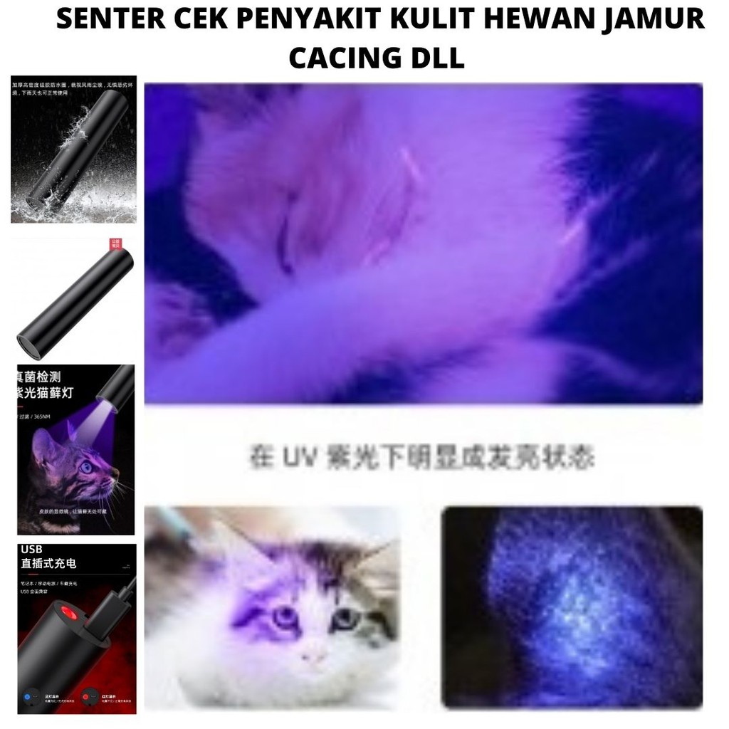 Senter UV Cek Sakit Kulit Jamur Urine Hewan Money Detektor Uang Palsu 111107