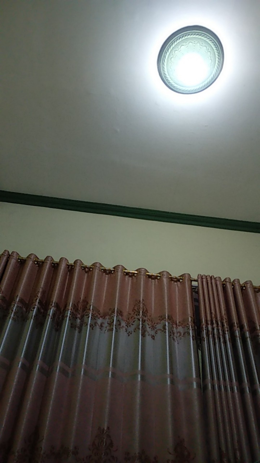 Bantal Guling Silikon Asli  Giovanni