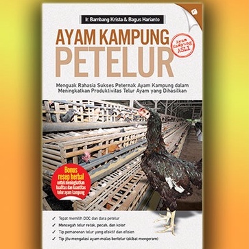 BUKU AYAM KAMPUNG PETELUR (AYAM KAMPUNG ASLI)