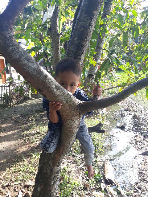 Termurah Sprayer Hama Tasco 8l Pusat Teknik Id