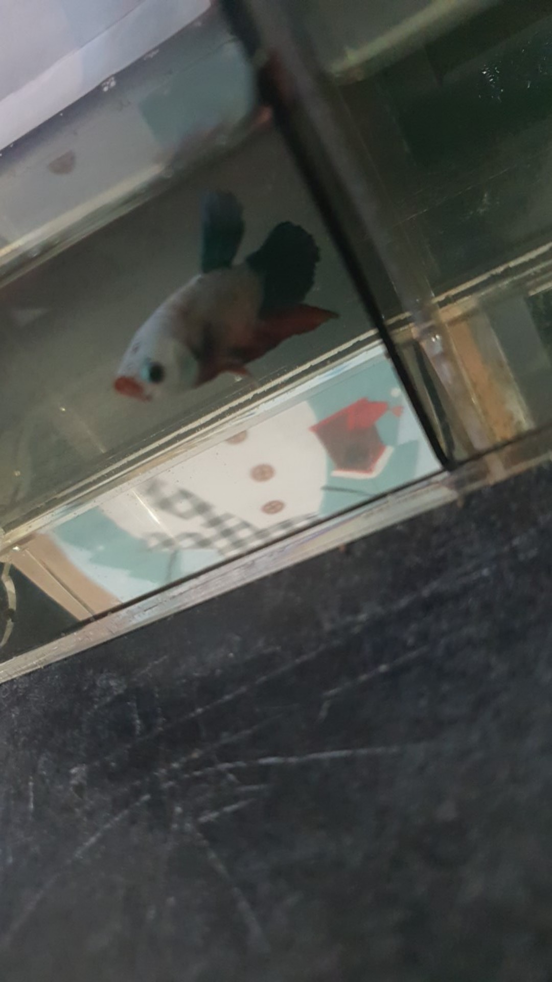 942 Sarung Remote Cover Pelindung Remote Tv Ac Dll Lucu Bungkus Pembungkus Plastik Organizer