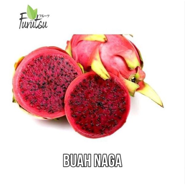 

BUAH NAGA 1Kg SEGAR dan MANIS FRUTZU HABIS