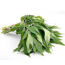 

Daun Singkong Organik 250gr