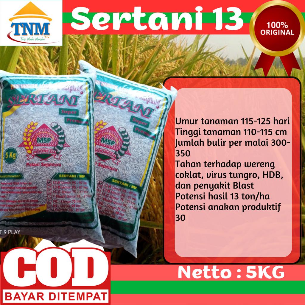 Biji Padi Unggul Sertani 13A 5KG