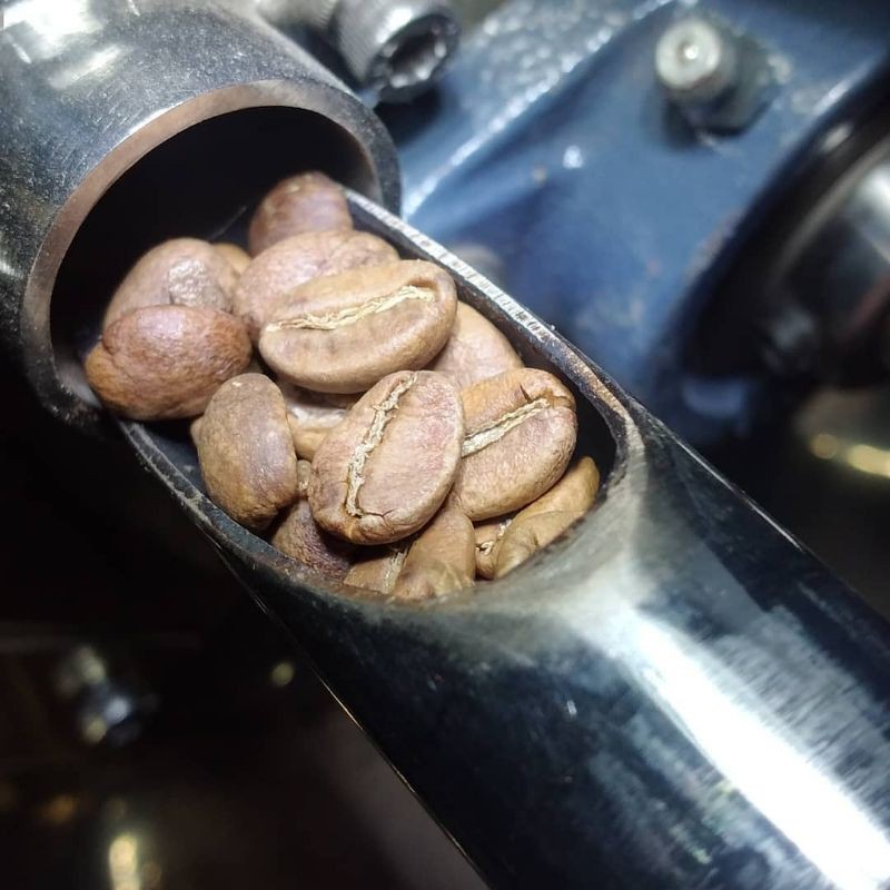 

kopi Arabika ijen