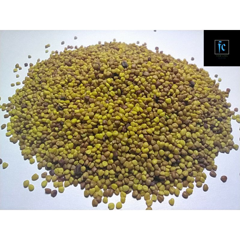 Bibit aquascape LOVE GRASS seed bibit benih tanaman rumput air aquascape aquarium tanaman aquarium r