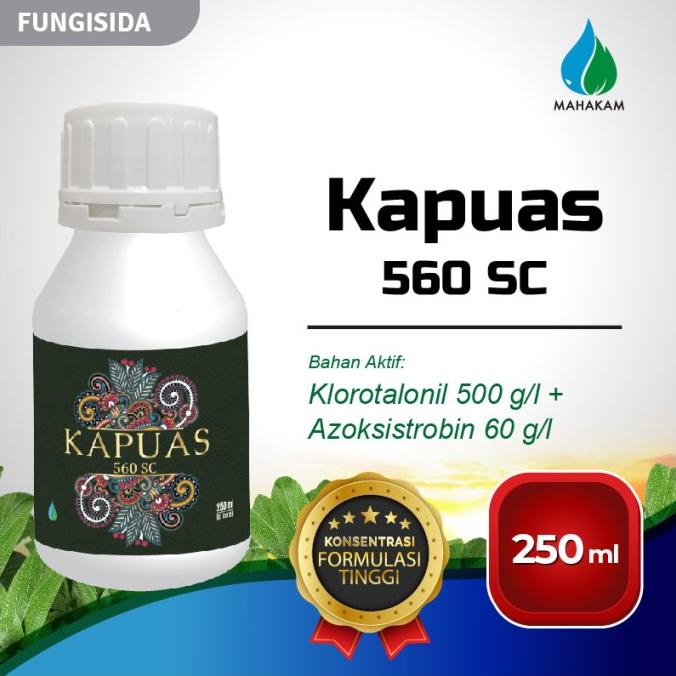 Kapuas 560 SC 250ml Fungisida Pestisida Pembasmi Hama Tanaman Kentang