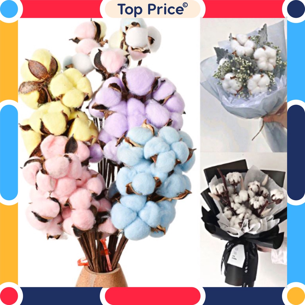 TOPPRICE Bunga Kapas Cotton Flower Single Stem Dekorasi Hiasan Bunga Kering Bunga Palsu KB15