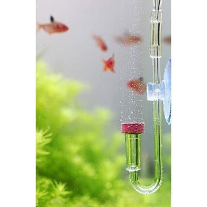 Diffuser CO2 NEO size M ukuran Sedang untuk Aquarium Aquascape