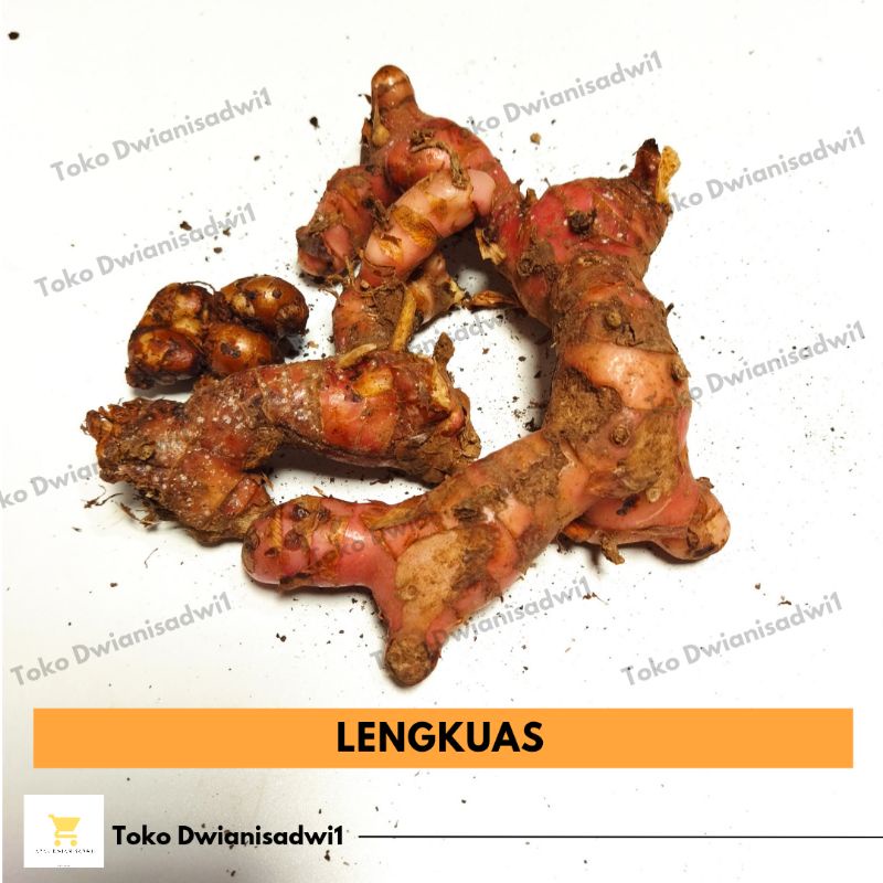

Lengkuas Fresh 1 kg
