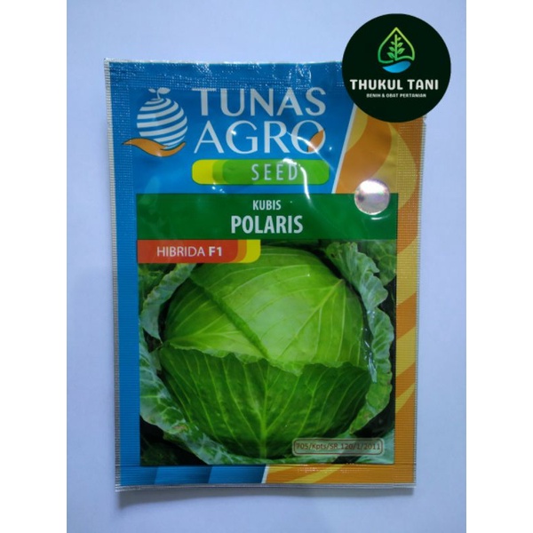 BENIH KUBIS HIBRIDA F1 POLARIS 10 GRAM