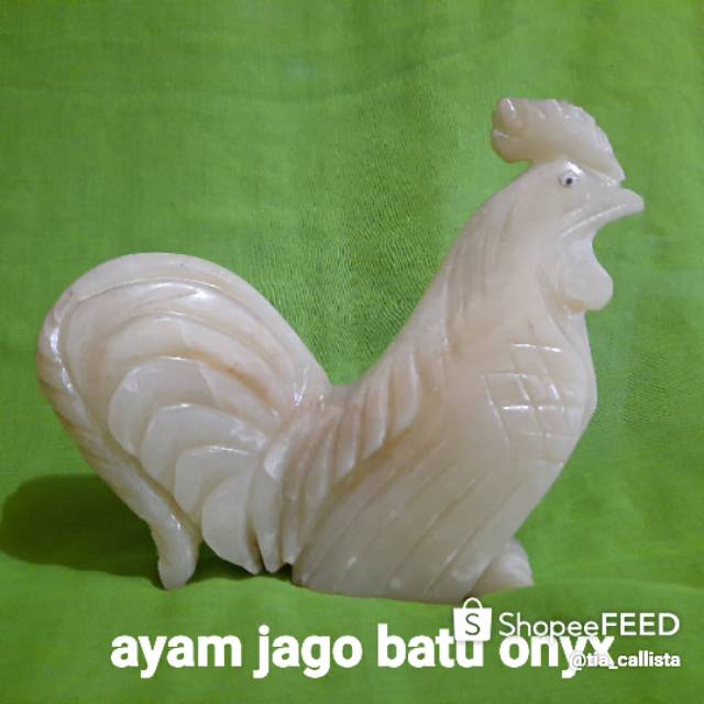 

Ayam jago onyx