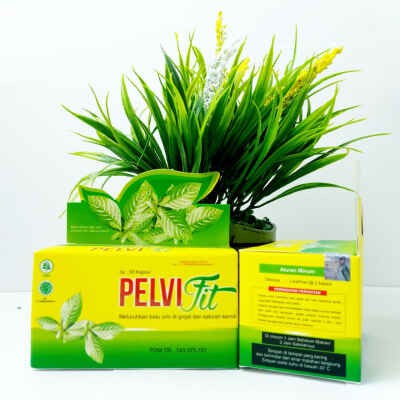 Herbal Batu Ginjal Batu Empedu Pelvifit Naturafit