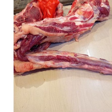 

Buntut sapi lokal segar super/buntut ring satu paket