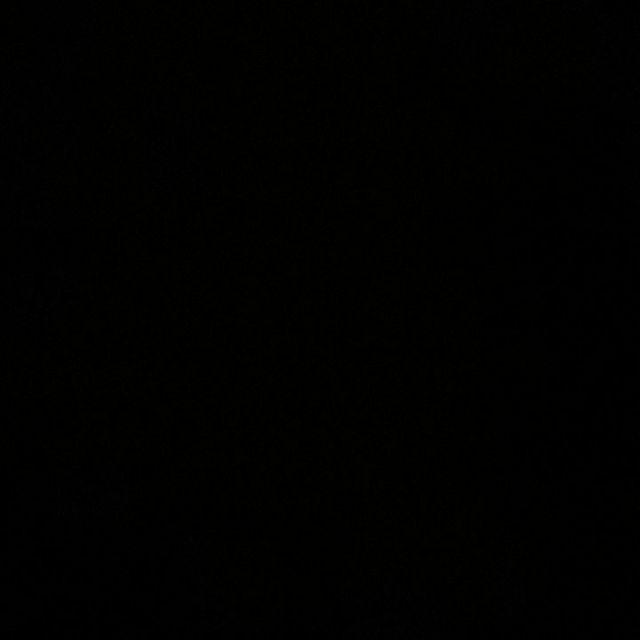 Tanaman Hias Soka Jambon Bunga Putih