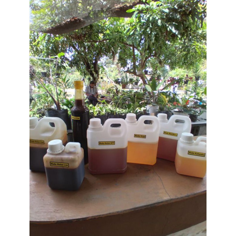

Baru madu raw murni 500 gram
