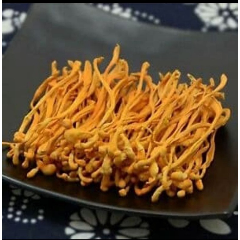 

jamur cordyceps/虫草花100 gram