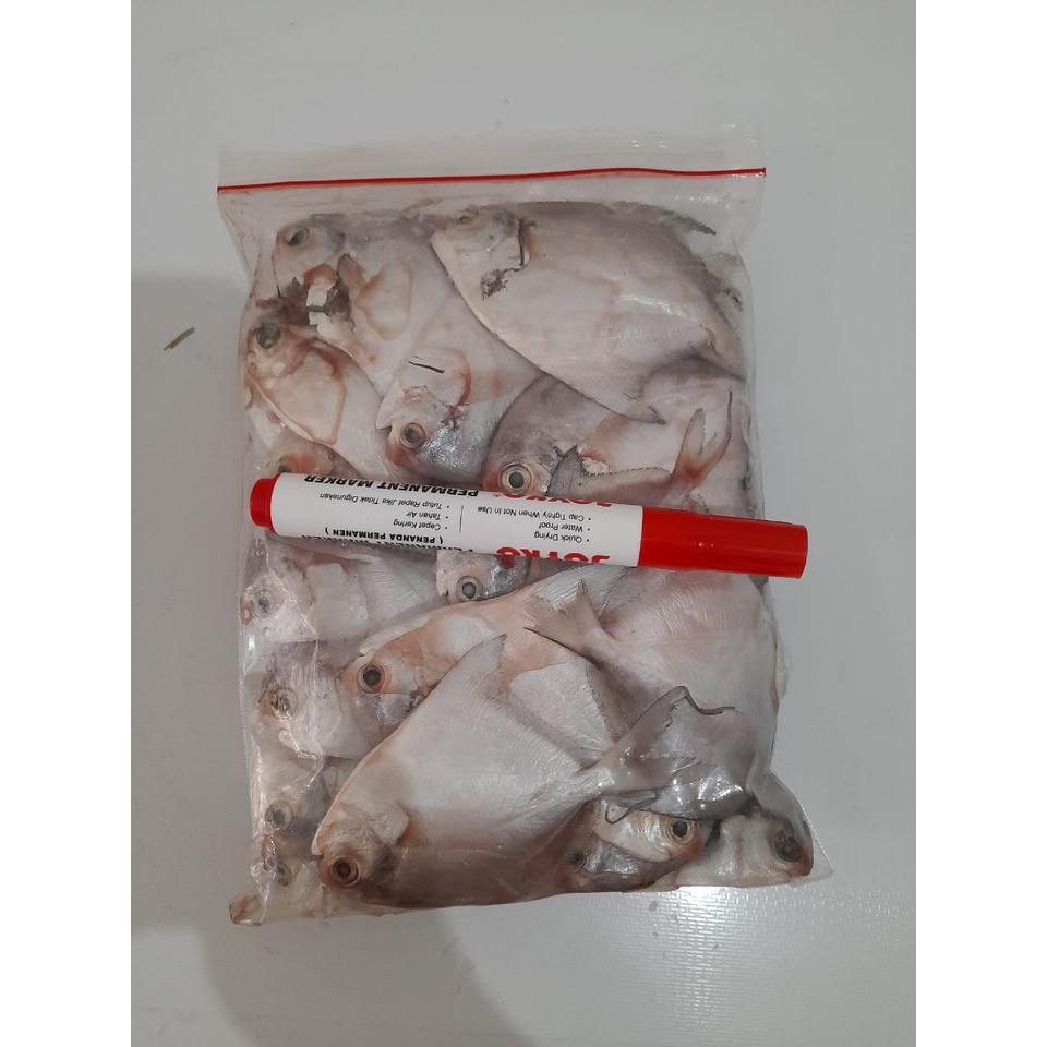 

ikan bawal kecil / ciu a pek / seafood / riau / bagan