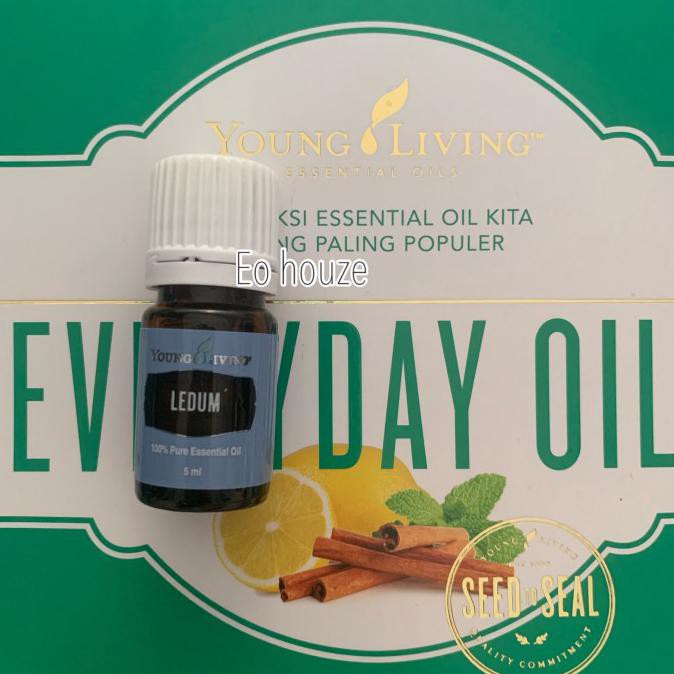 Ledum Young Living 5Ml Yl Essential Oil Allea.Store