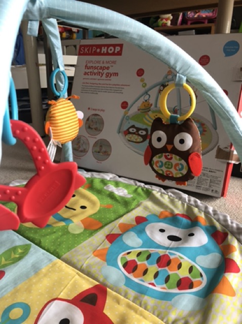 skip hop funscape activity gym