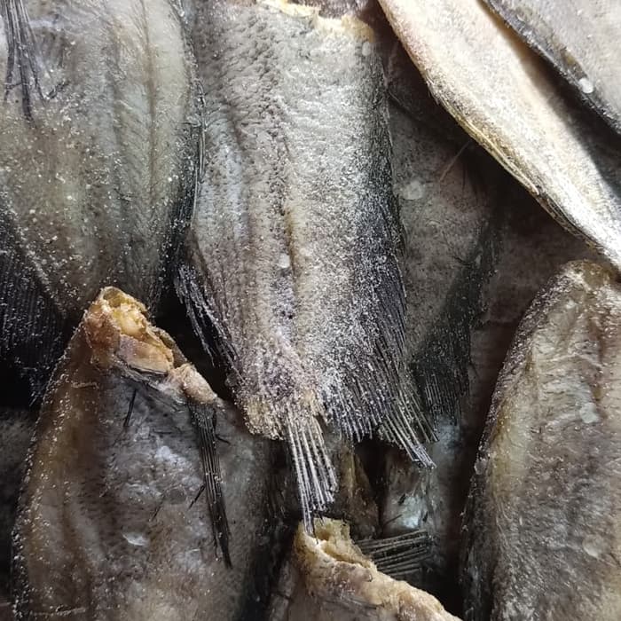

ikan sepat/ikan asin sepat