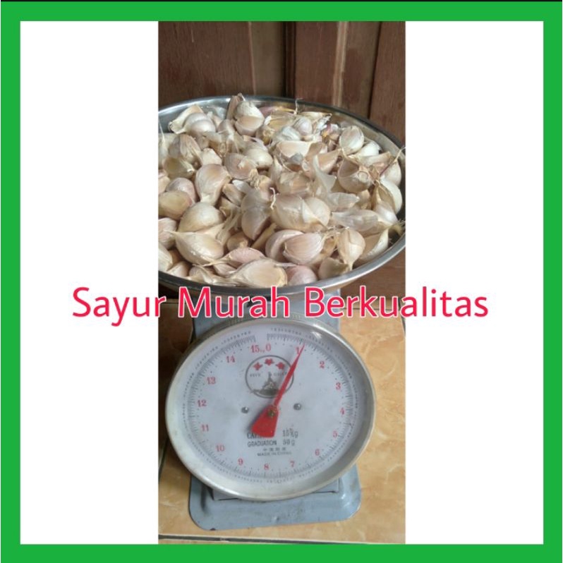 

Bawang Putih Kating 1Kg Murah Berkualitas (Tidak ada bonggol & busuk)
