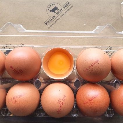 

TELUR NEGRI/HOREN BIO PLATINUM