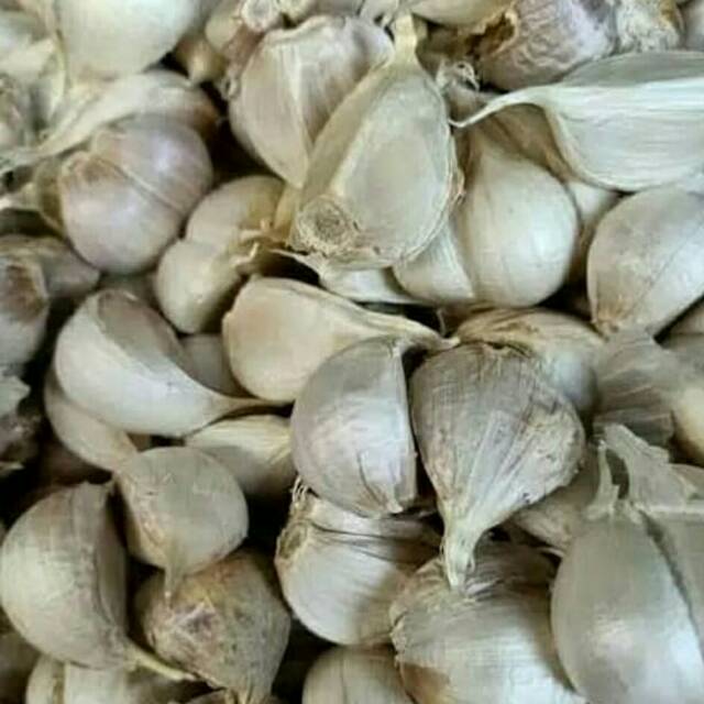 

Bawang putih kating 1 kg