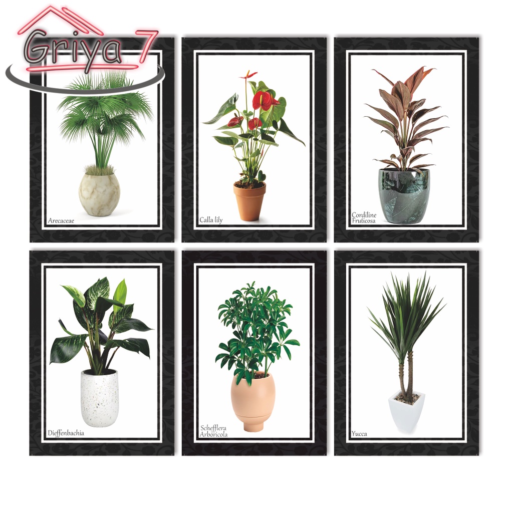 HIASAN DINDING I DEKORASI DINDING I WOODEN DECOR I TANAMAN BUNGA MONSTERA TROPICAL
