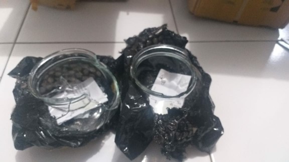 Ikea Viljestark Vas, Kaca Bening 8cm